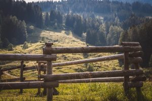fence-fences-640x480-24181069.jpeg