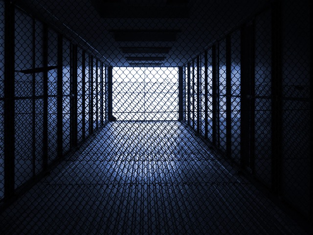 fence, fences