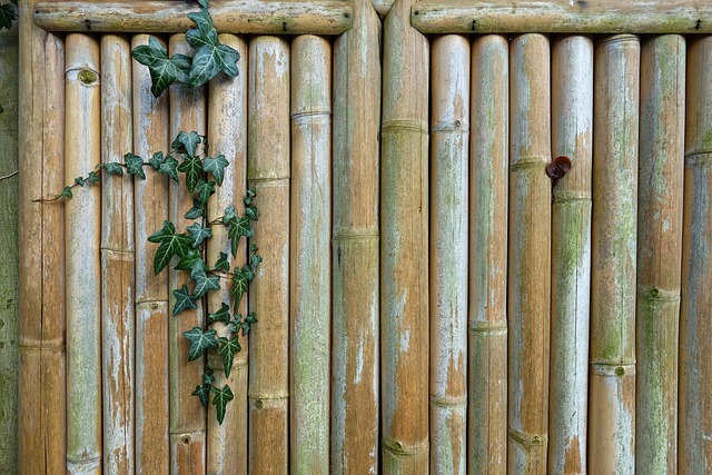 fence, fences