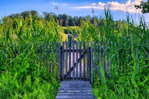 fence-fences-640x480-60085392.jpeg