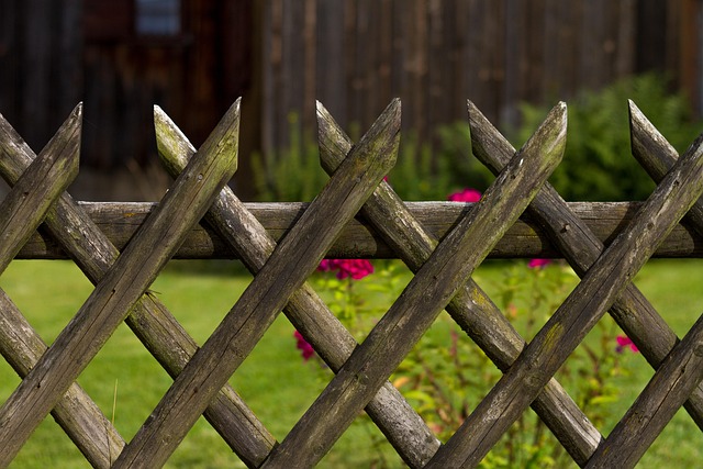 fence, fences