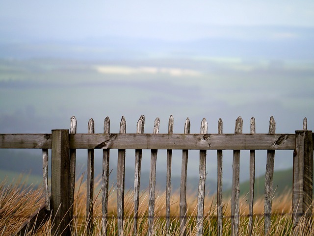 fence, fences
