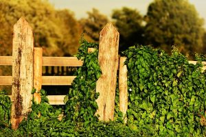 fence-fences-640x480-91331279.jpeg