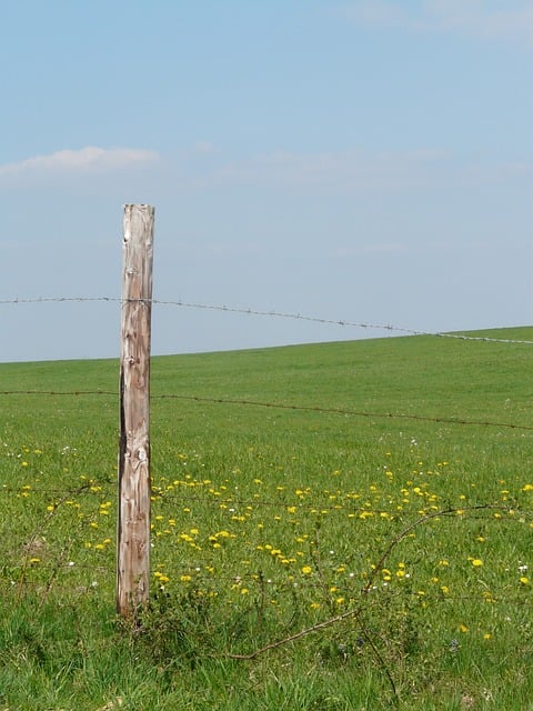 fences