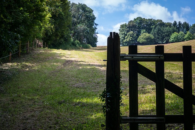 fences