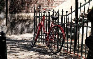 fences-640x480-19916006.jpeg