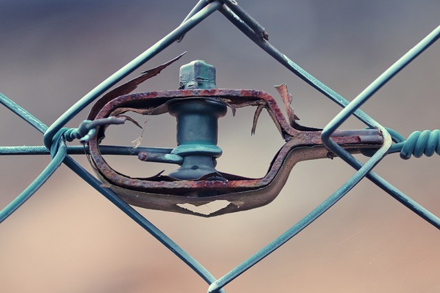fences