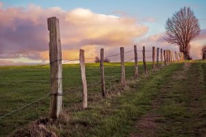 fences-640x480-22301919.jpeg