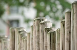 fences-640x480-23650716.jpeg
