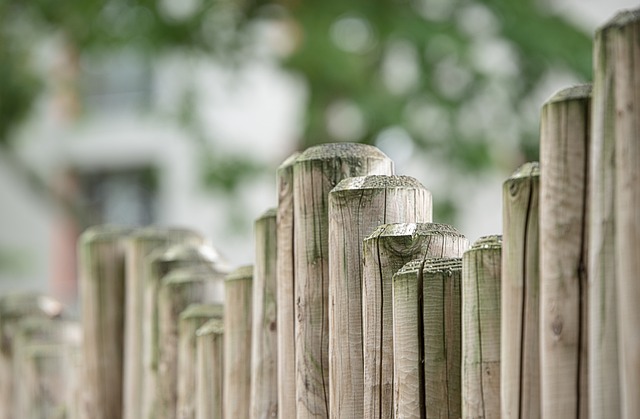fences-640x480-23650716.jpeg