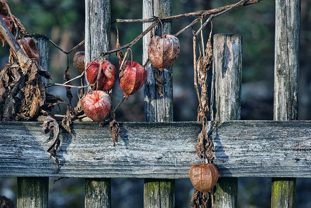 fences