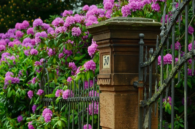 fences