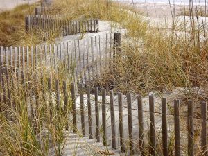 fences-640x480-26563909.jpeg