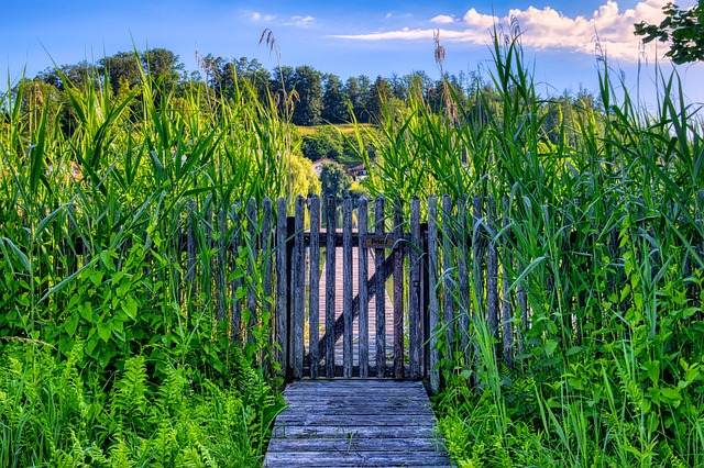 fences