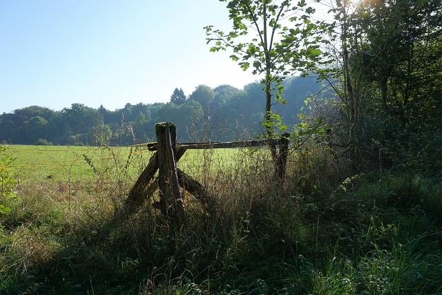 fences