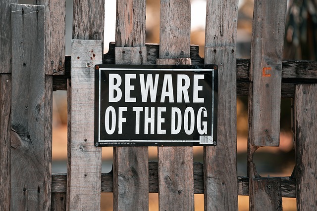 fences-640x480-28861465.jpeg