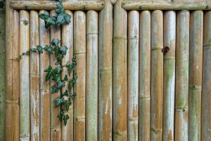 fences-640x480-29694496.jpeg