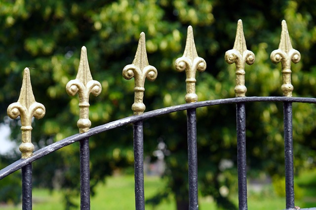 fences-640x480-29938122.jpeg