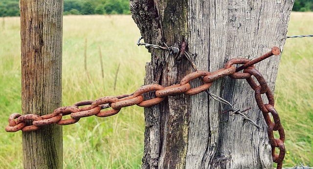 fences