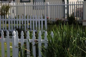 fences-640x480-38838474.jpeg