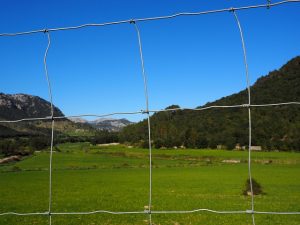fences-640x480-40074204.jpeg