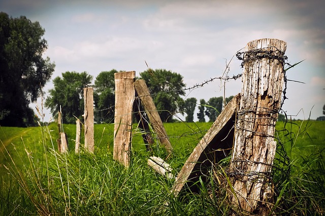 fences
