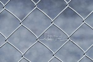 fences-640x480-43969220.jpeg