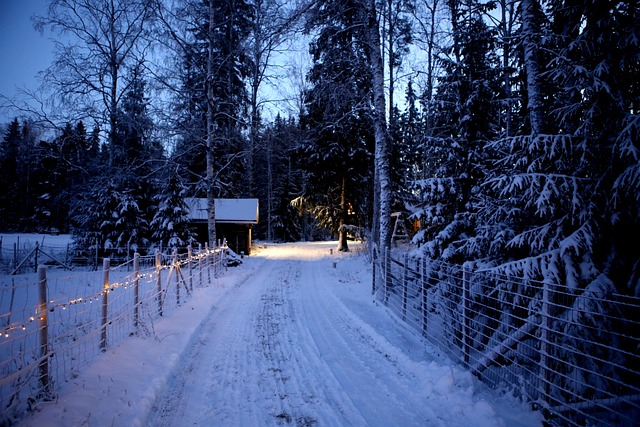 fences