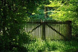 fences-640x480-44484723.jpeg