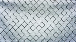 fences-640x480-44934356.jpeg