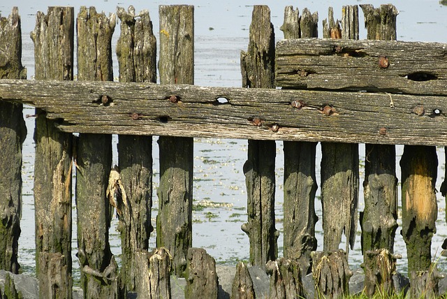fences