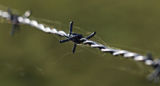 fences