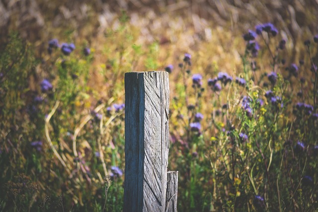 fences