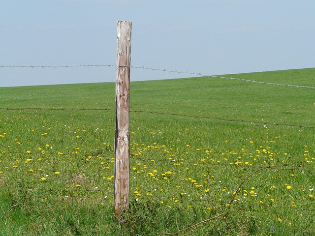 fences