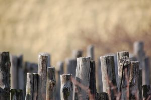fences-640x480-51983620.jpeg