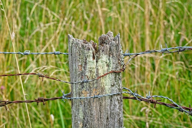fences-640x480-52380242.jpeg