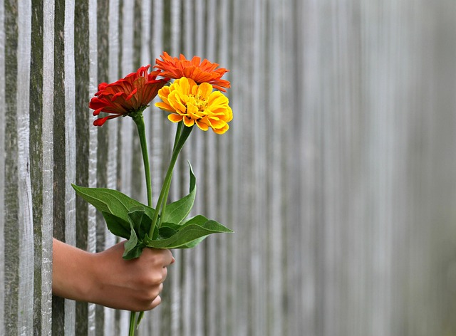fences