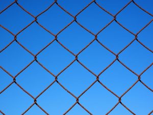 fences-640x480-58094596.jpeg