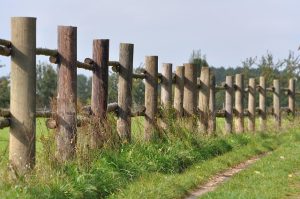 fences-640x480-60237043.jpeg