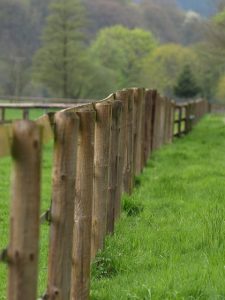 fences-640x480-60502384.jpeg