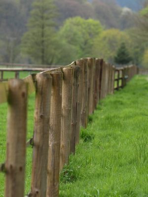 fences-640x480-60502384.jpeg