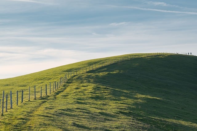 fences