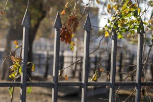 fences-640x480-64213820.jpeg