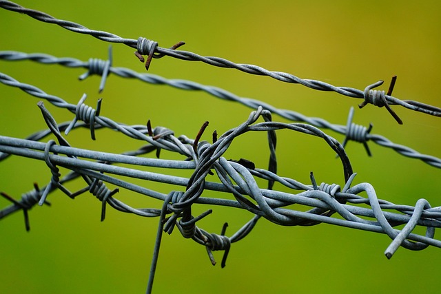 fences