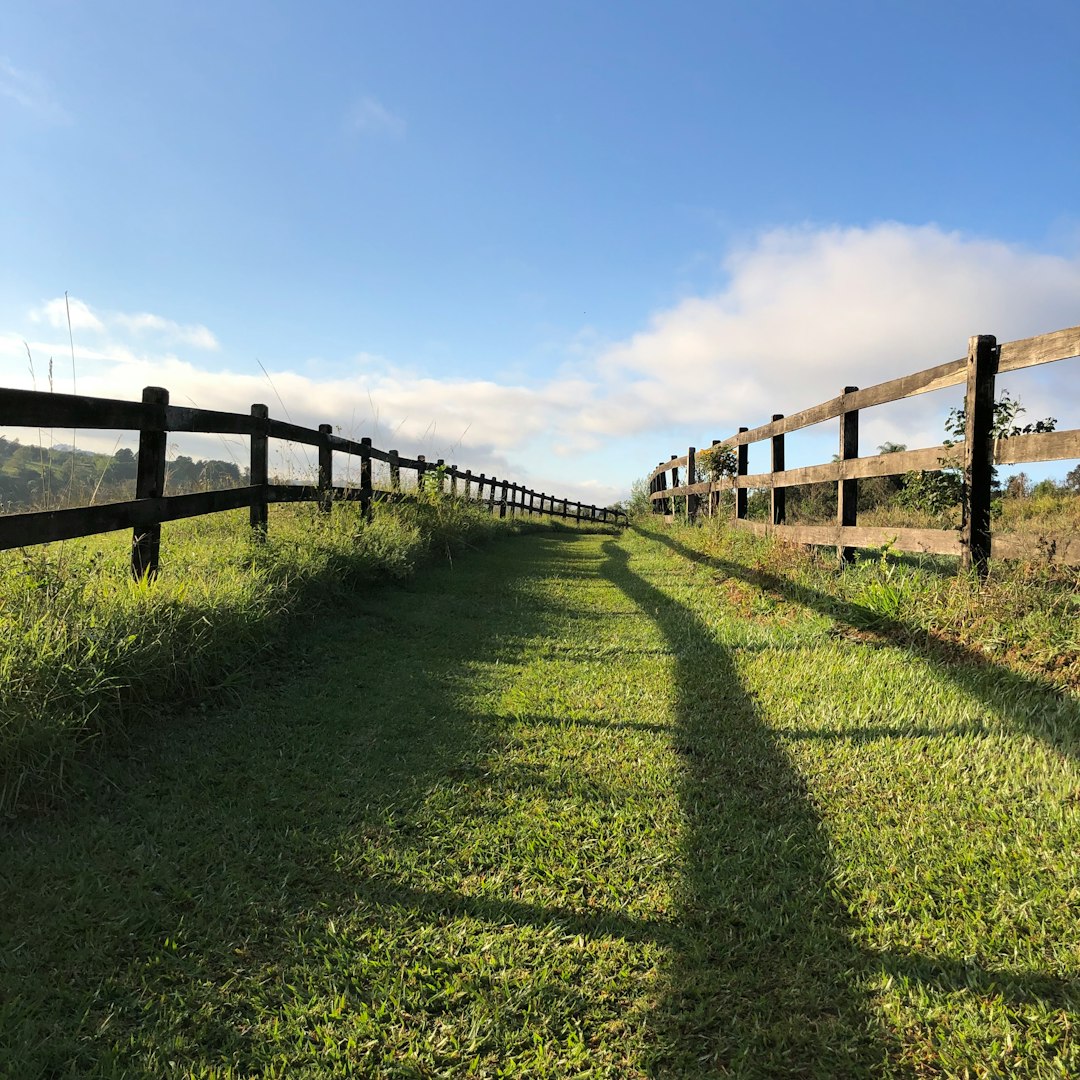 fences