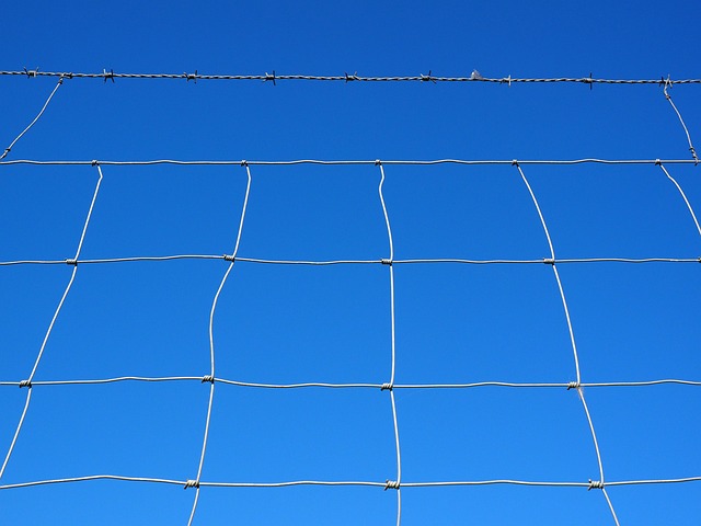 fences