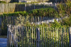 fences-640x480-75381156.jpeg