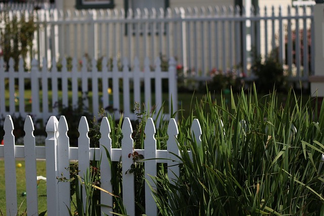 fences