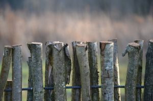 fences-640x480-76559838.jpeg