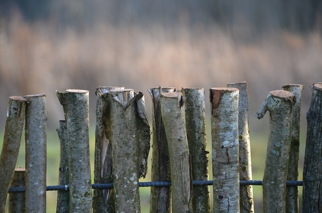 fences-640x480-76559838.jpeg